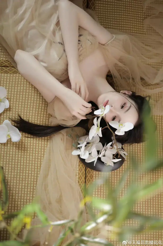 91软件下载数据统计